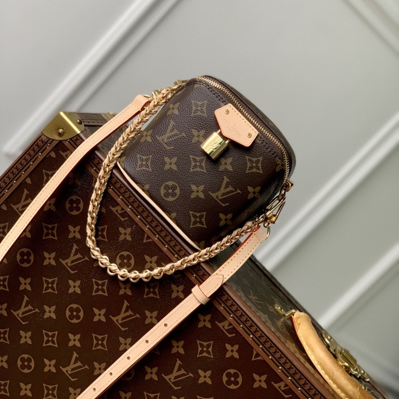LV Satchel bags